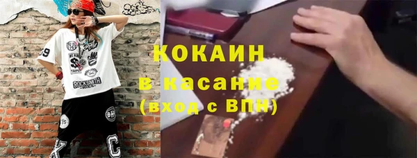 трава Арсеньев