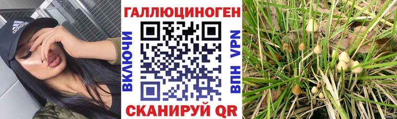 мега   купить наркотик  Боготол  Галлюциногенные грибы мухоморы 